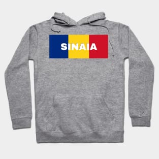 Sinaia City in Romanian Flag Hoodie